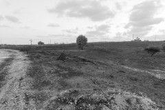 MG_0020-2