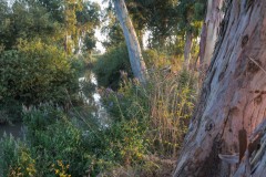 MG_0015-2