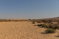 07-Gev-Yamin