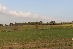 02-Gezer-Fields