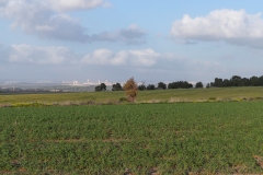 03-Gezer-Fields