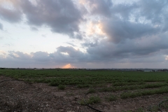 07-Gezer-Fields