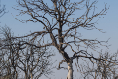 01-Ha-Masrek-Reserve-01122023