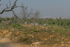 06-Ha-Masrek-Reserve-01122023