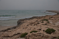 02-Habonim-Beach-Nature-Reserve-April-2026