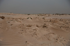 08-Habonim-Beach-Nature-Reserve-April-2026