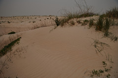 09-Habonim-Beach-Nature-Reserve-April-2026