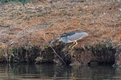 12-Hod-Hashron-Park-5-Sep-2020
