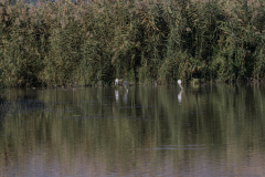 15-Hula-Nature-Reserve-21.11.2025