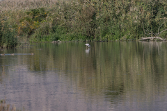 18-Hula-Nature-Reserve-21.11.2025