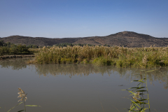 21-Hula-Nature-Reserve-21.11.2025