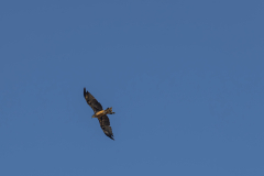 01-Kfar-Ruppin-Oct-31st-2025