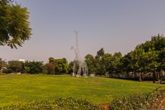 02-CovidID-19-kfs-Park