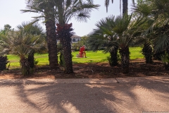 11-CovidID-19-kfs-Park