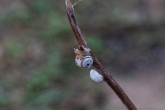 07-Macro-Sat-21-Nov-2020