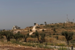 08-Migdal-Affek