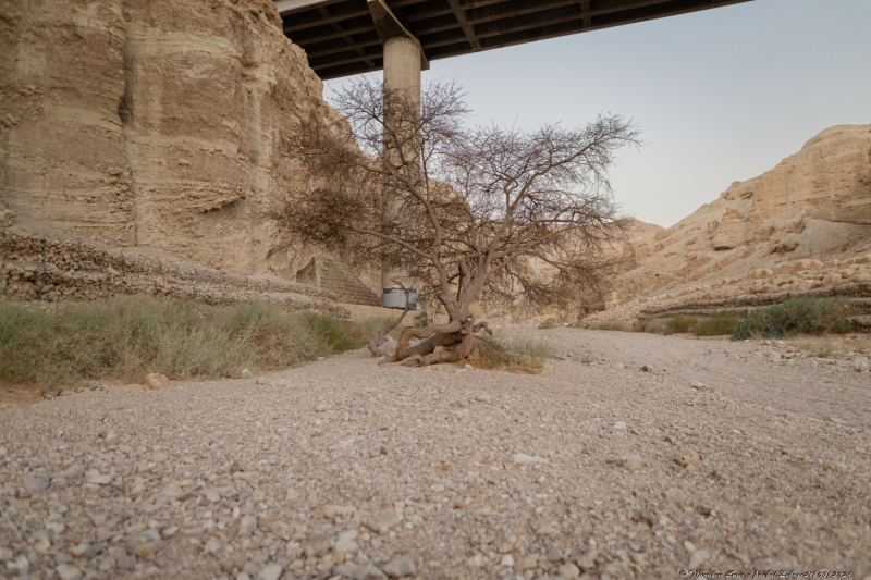 03-Nachal-Zohar-21.06.2024