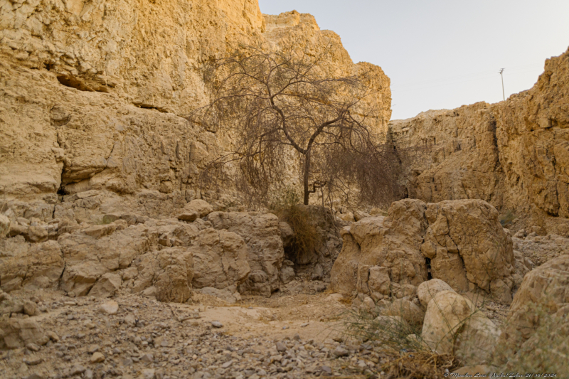 07-Nachal-Zohar-21.06.2024