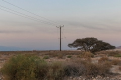 02-Nahal-Mishmar-art-One