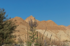 04-Nahal-Mishmar-art-One