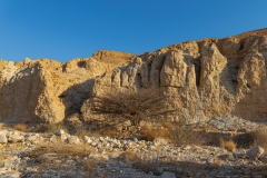 09-Nahal-Mishmar-Part-two