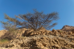 10-Nahal-Mishmar-Part-two