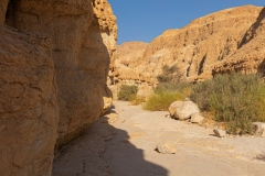 11-Nahal-Mishmar-Part-two