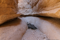 13-Nahal-Mishmar-Part-two
