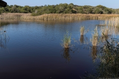 01-Nitzanim-National-Park