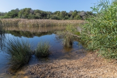 02-Nitzanim-National-Park