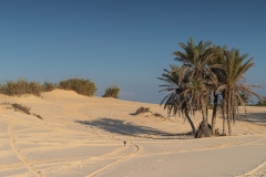 08-Nitzanim-National-Park