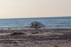 12-Nitzanim-National-Park