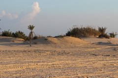 14-Nitzanim-National-Park