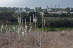 03-Poleg-Gate-Reserve-Moshav-Udim