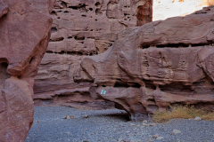 05-Red-Canyon-Aug-2024