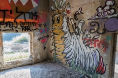 10-Sahin-Villa-Rehovot