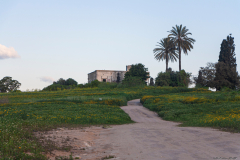 02-Shain-Villa