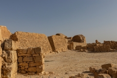 08-Shivta-Jan-2022