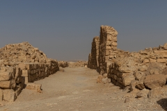 09-Shivta-Jan-2022