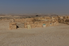 10-Shivta-Jan-2022