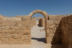 10-שיבטה