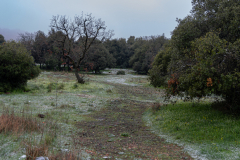 17-Golan-Hights-Round-Trip-March-2025