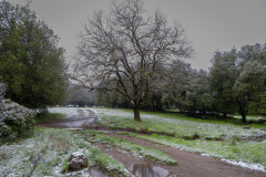 18-Golan-Hights-Round-Trip-March-2025