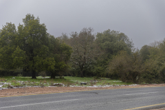22-Golan-Hights-Round-Trip-March-2025