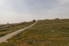 06-Tel-Arad