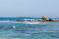 1000D_Landscape0050