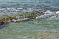 1000D_Landscape0076