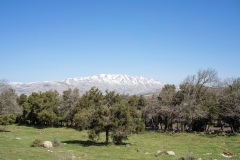 03-Tel-Qutza