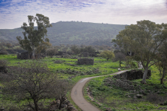 01-Yehudiya-Natre-reserve-Jan30-2026