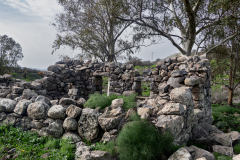 02-Yehudiya-Natre-reserve-Jan30-2026